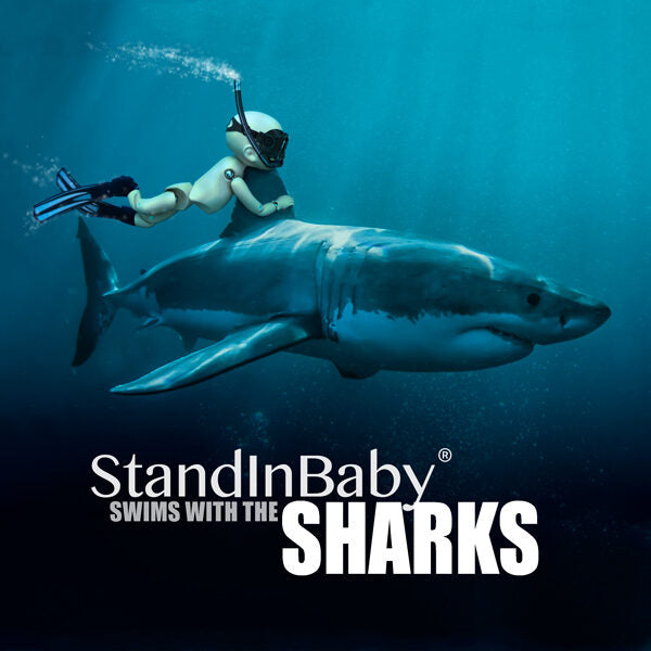 StandInBaby swims with the Sharks